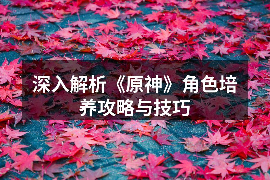 深入解析《原神》角色培养攻略与技巧