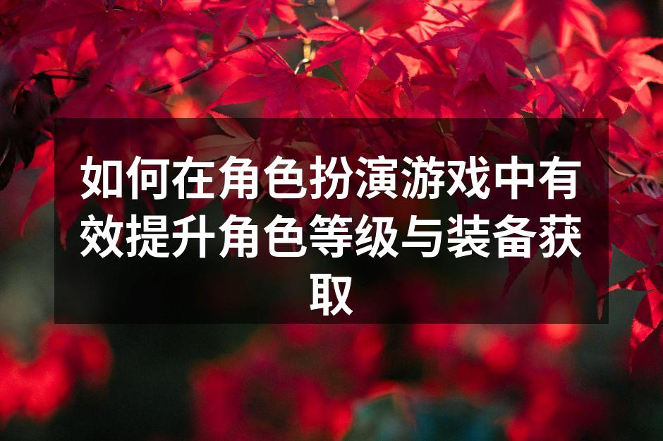 如何在角色扮演游戏中有效提升角色等级与装备获取